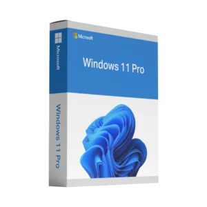 Microsoft Windows 11 Pro